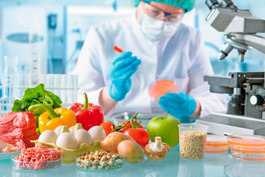 Curso Inocuidad Alimentaria