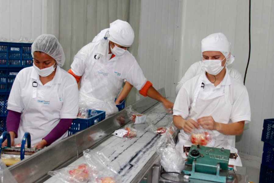 Curso Higiene para Manipuladores de Alimentos